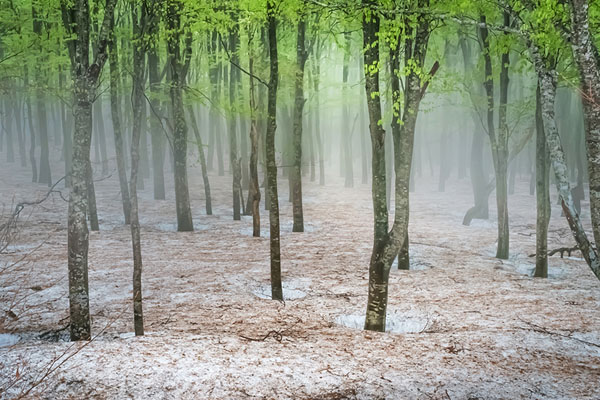 Photograph Masato Saito Coming Of Spring on One Eyeland